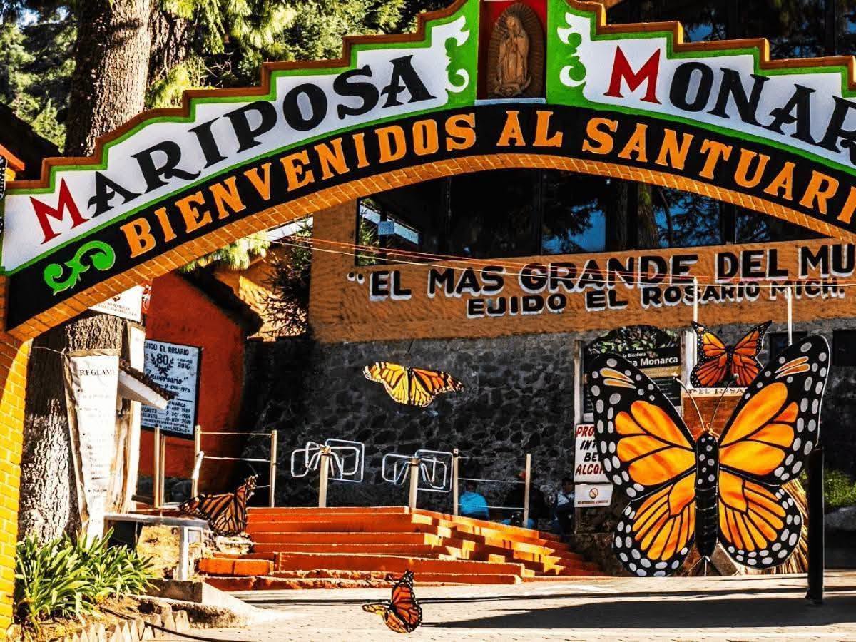 Mariposa Monarca Y Tlalpujahua - 29 Noviembre 2026