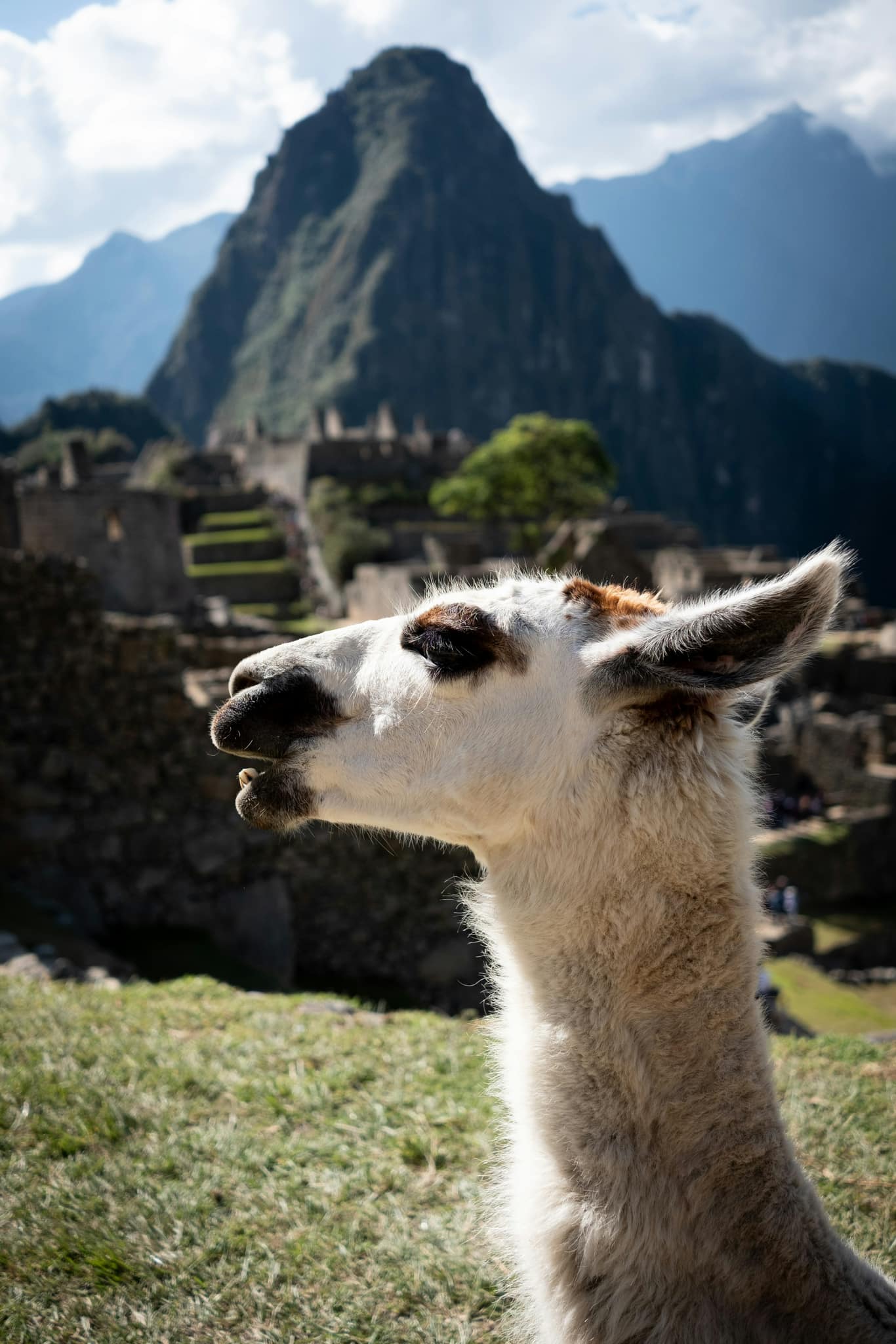 Peru !!! 🦙🦙🦙 🌈🌈🌈Img9