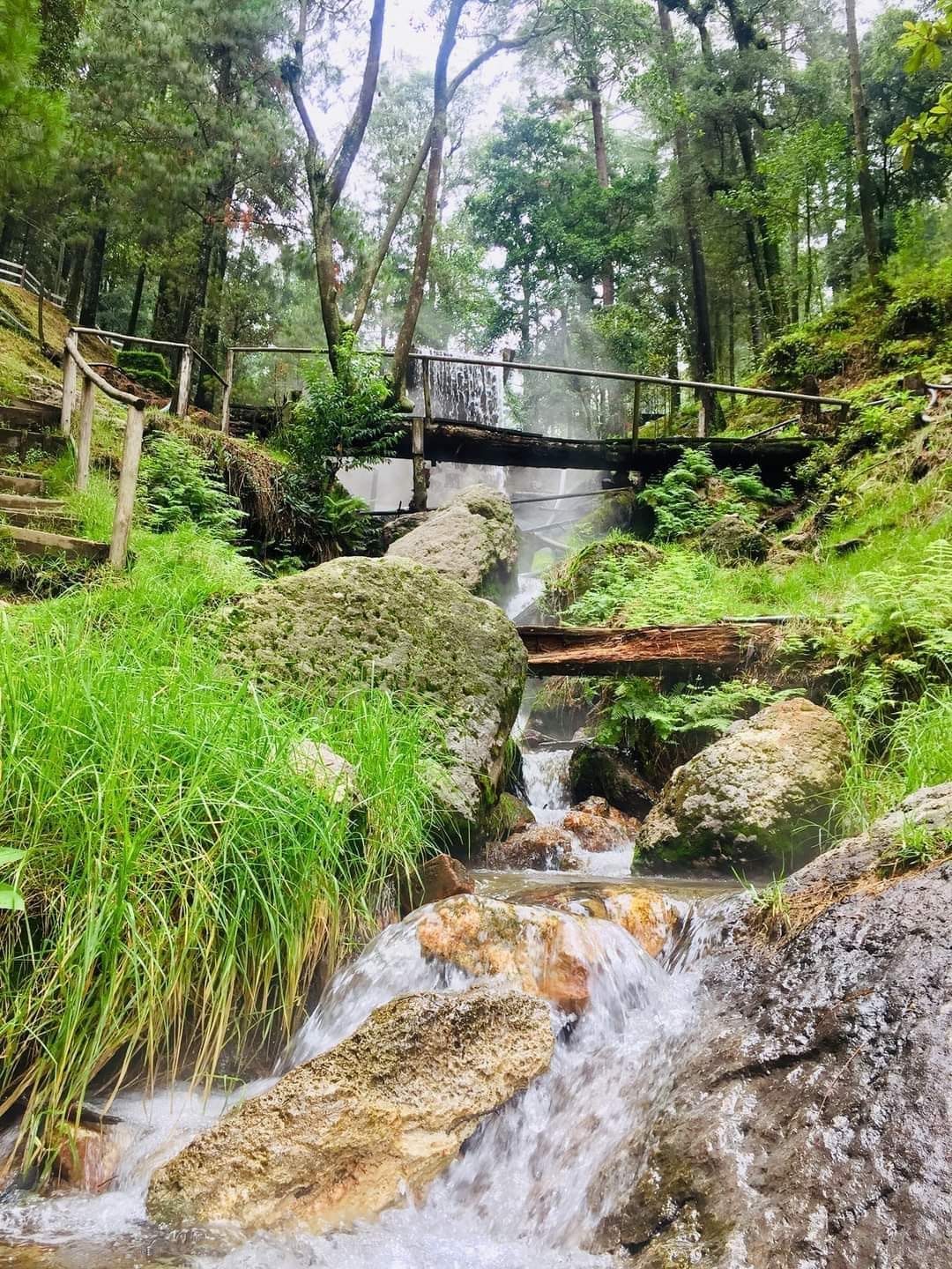 Mariposa Monarca Y  Los Azufres🌲🏞️Img3