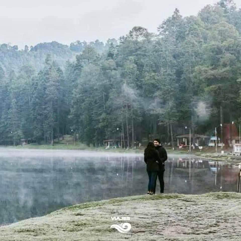 Mariposa Monarca Y  Los Azufres🌲🏞️ Img1